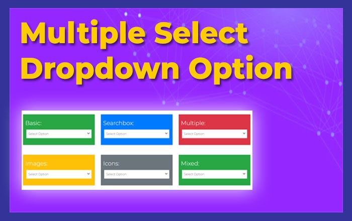 Multiple Select Dropdown Option
